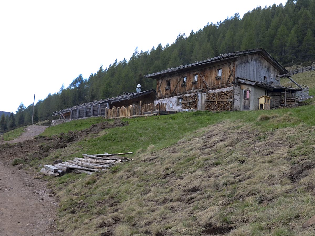 Auener Alm