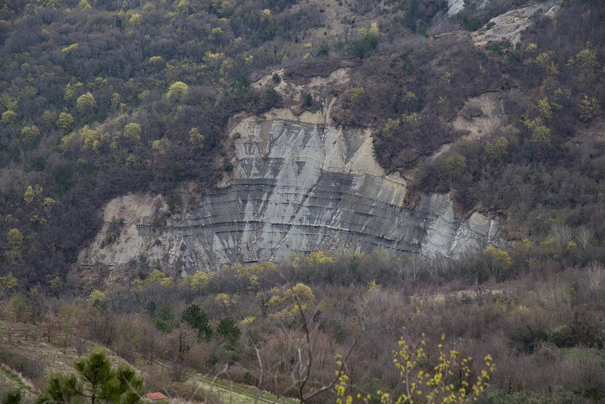 Flysch