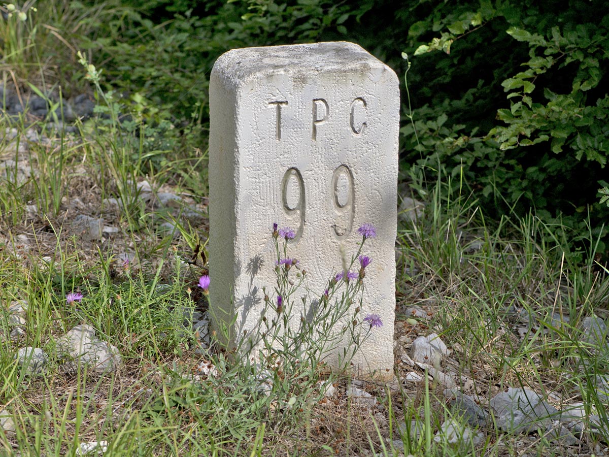 TPC