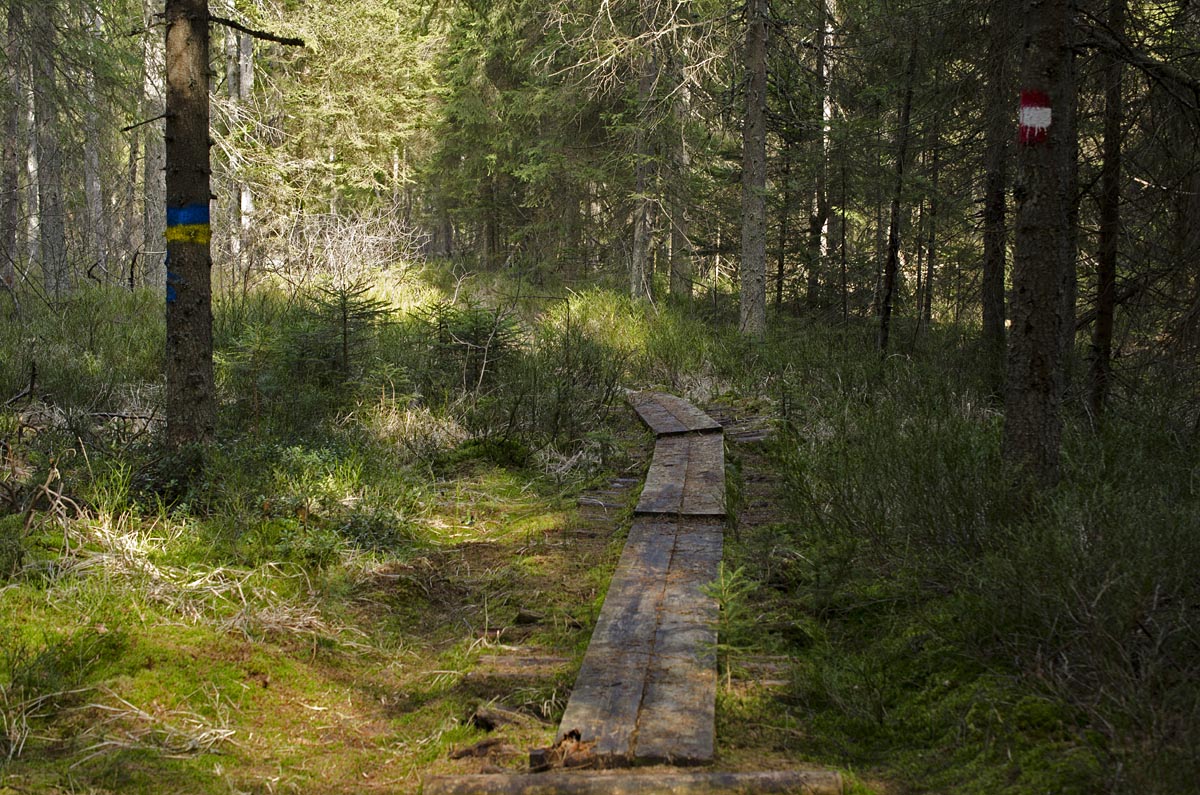 Holzbohlenweg