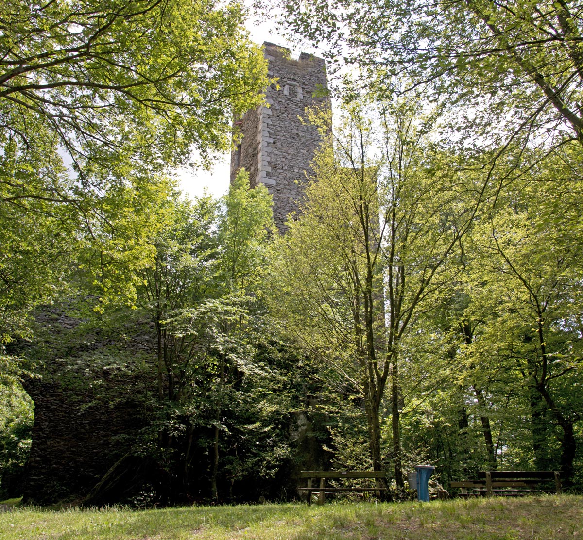 Burgruine Stauf