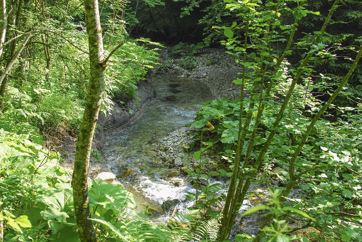 Bach vor der Klamm