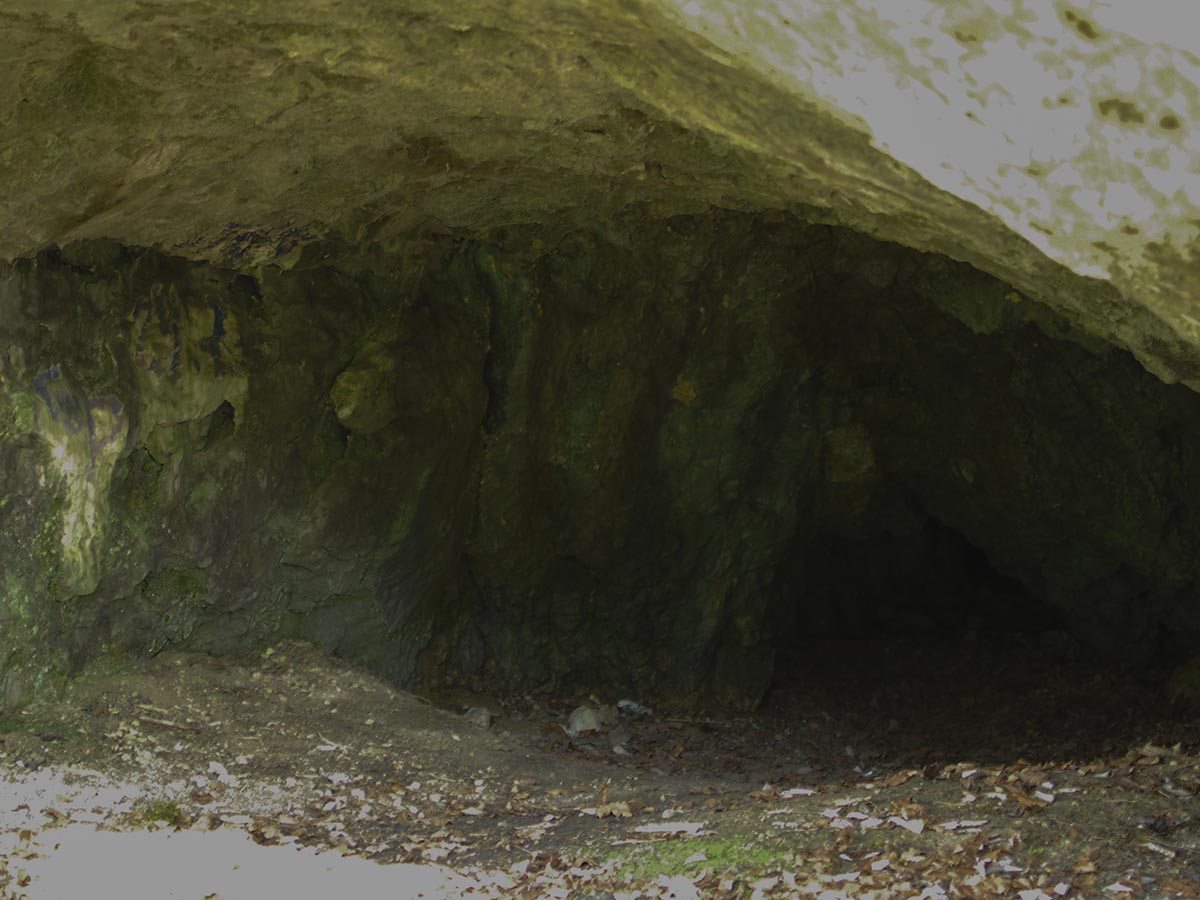 Bärenhöhle