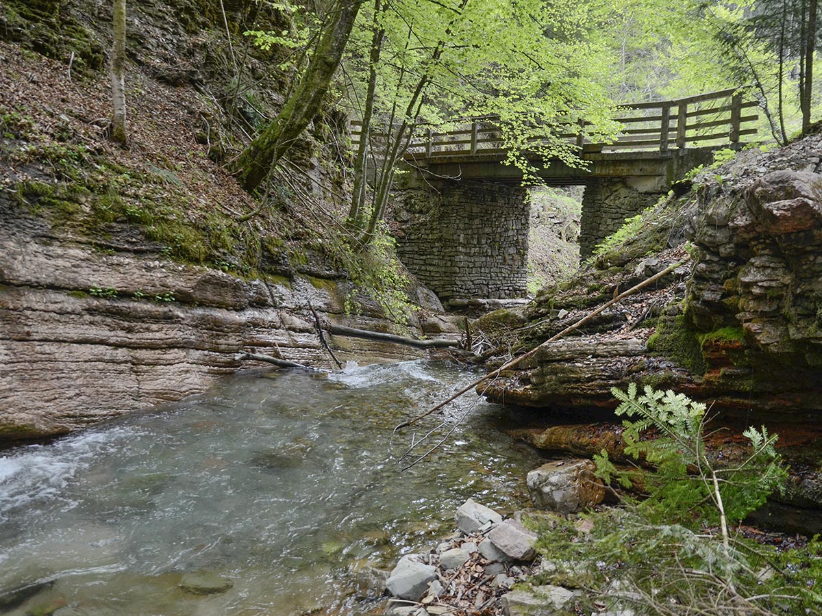 Brücke