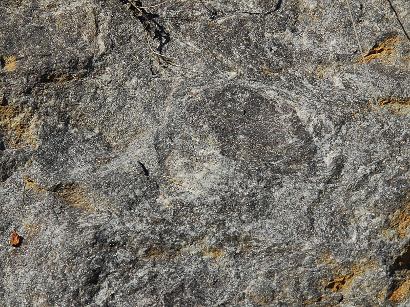 Orthogneis