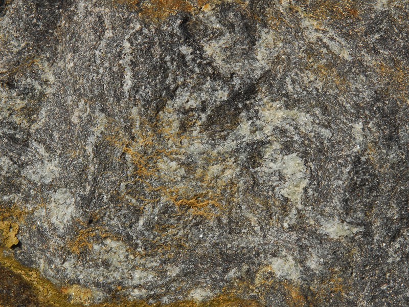 Orthogneis