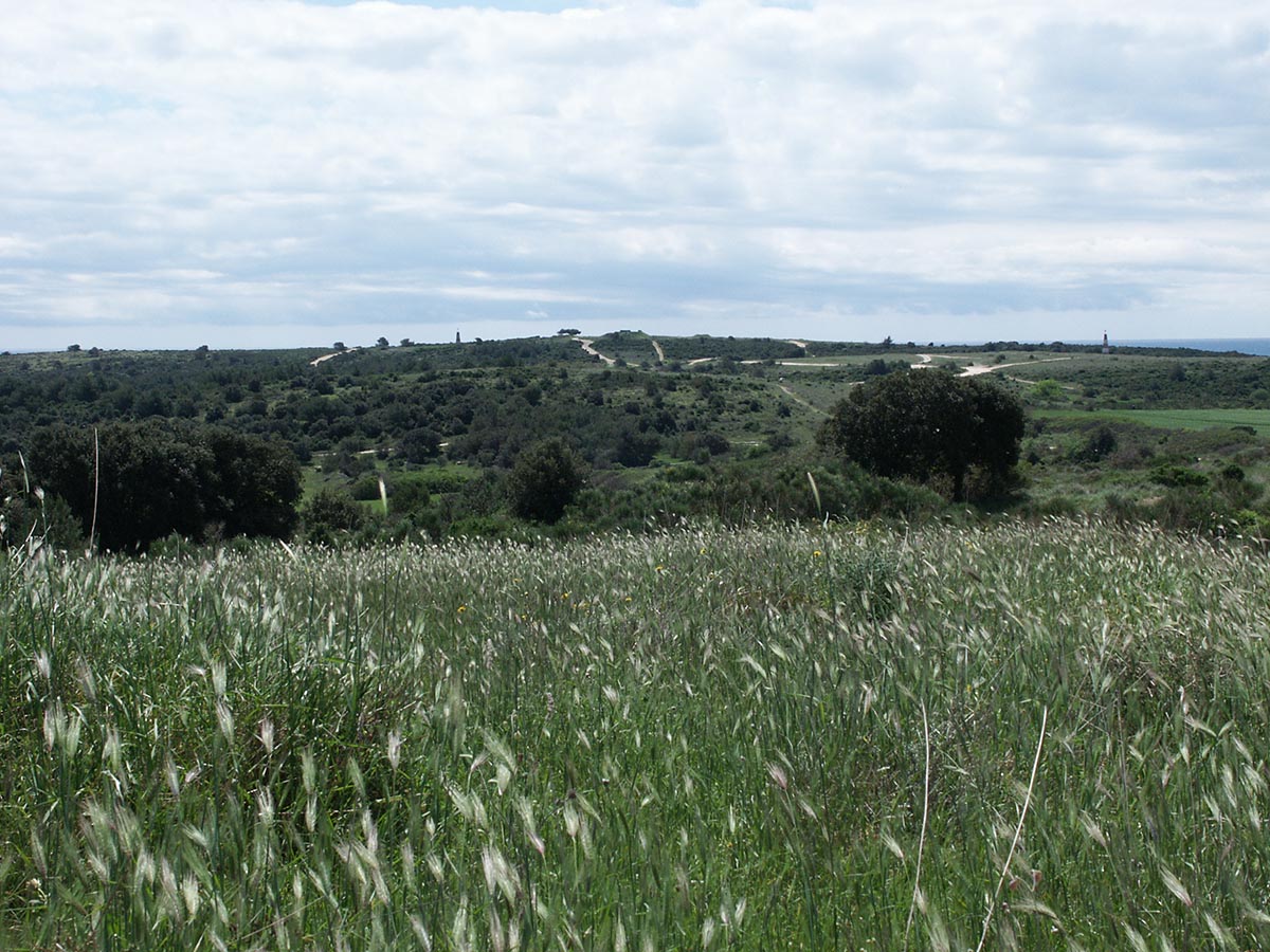 Blick Süd