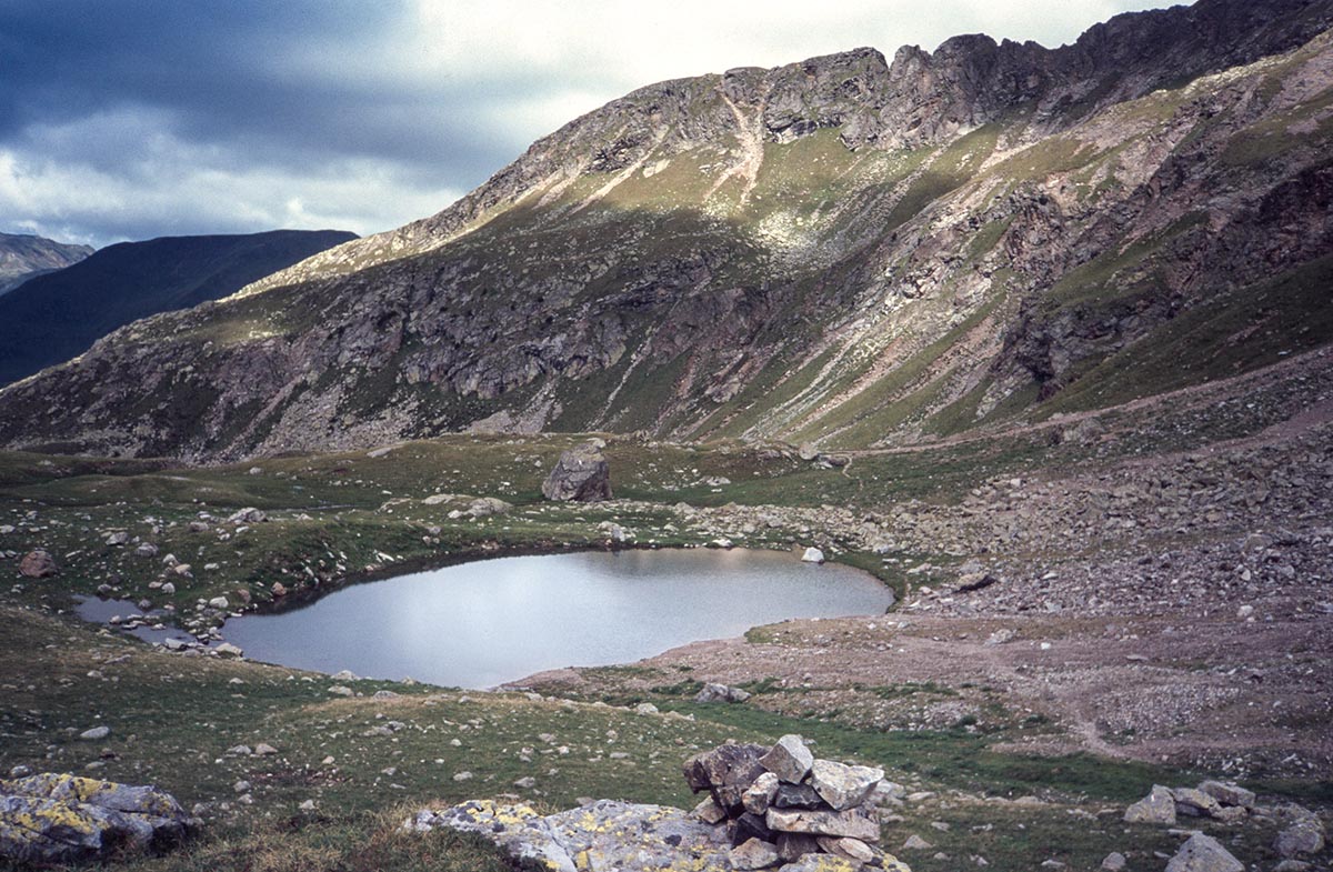Distelsee