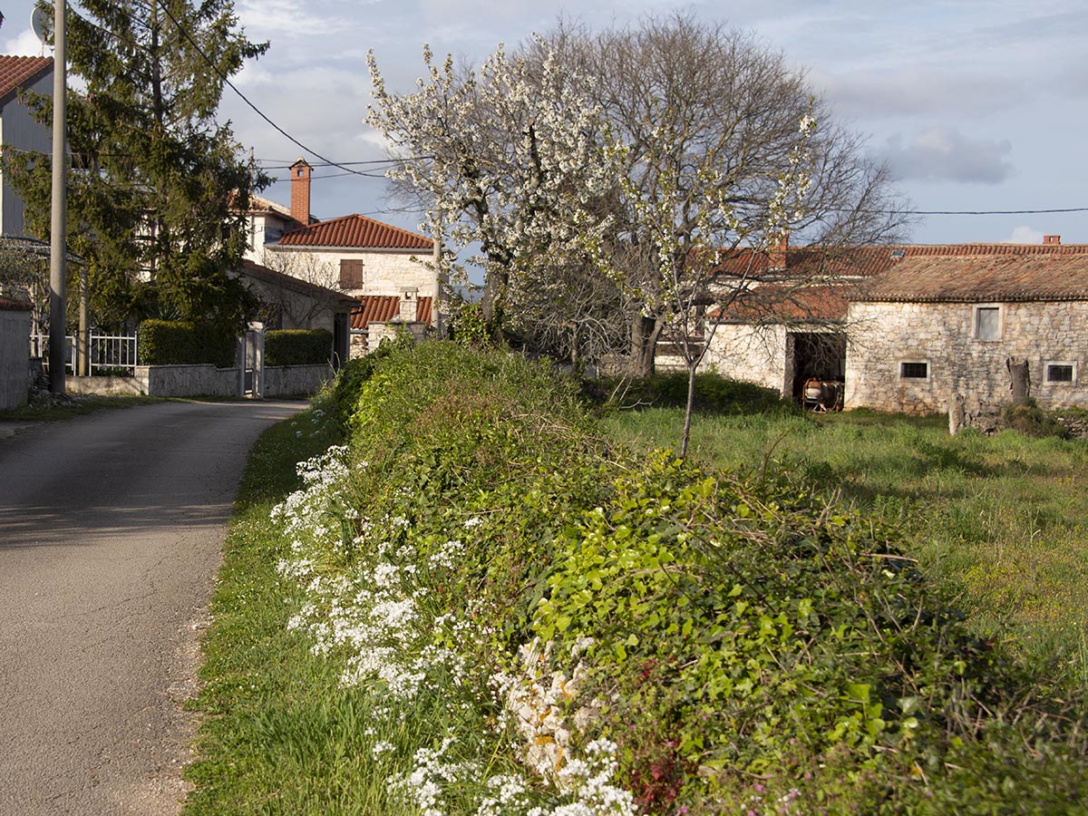 Dorfstraße