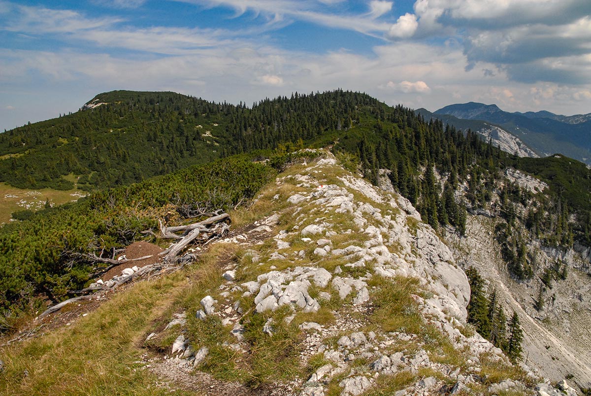 Höllkogelblick