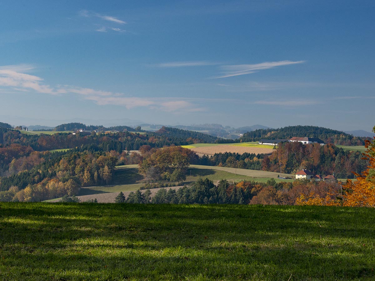 Weitblick