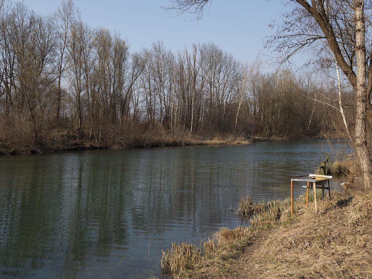 Altwasserteich