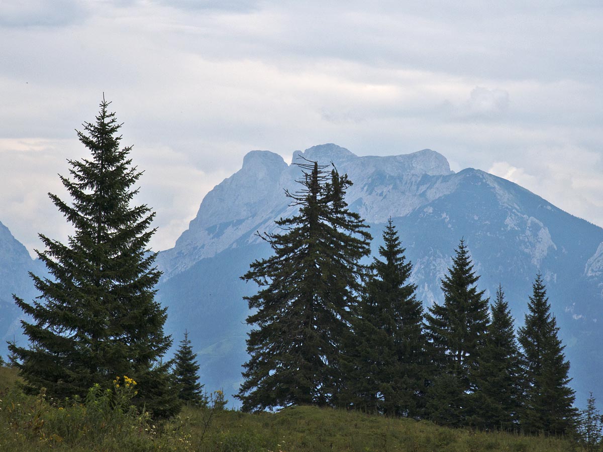 Reichensteingruppe