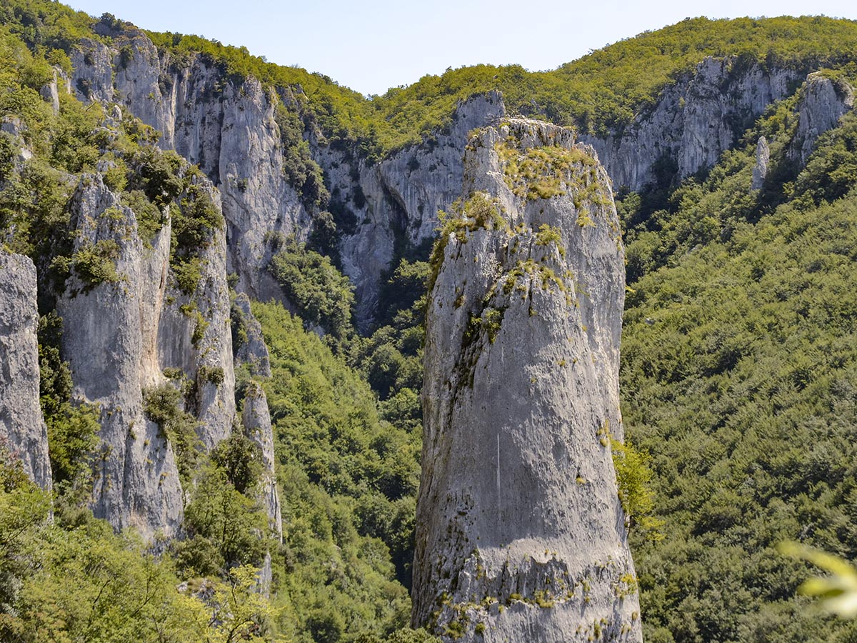 Felsen