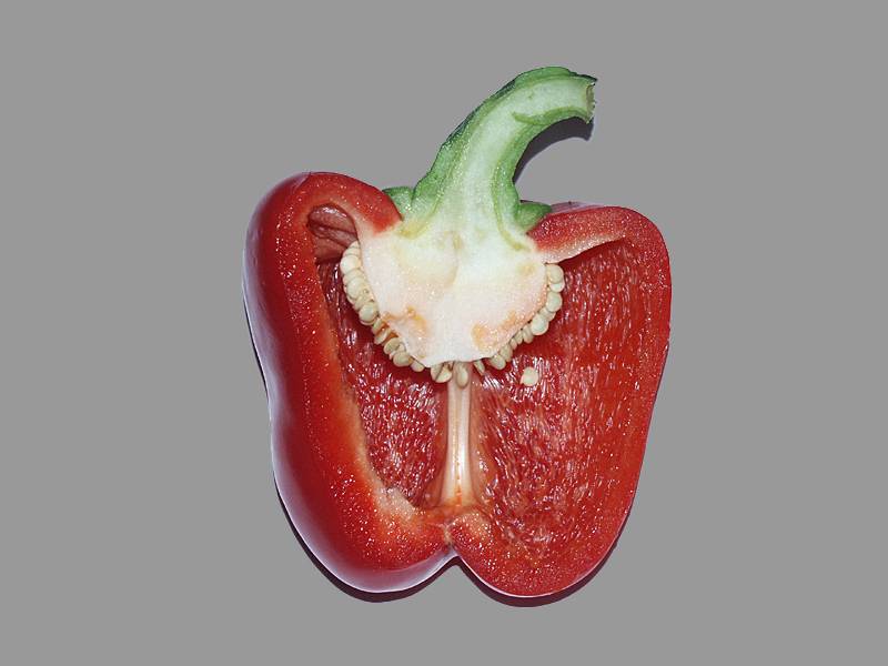 Capsicum annuum